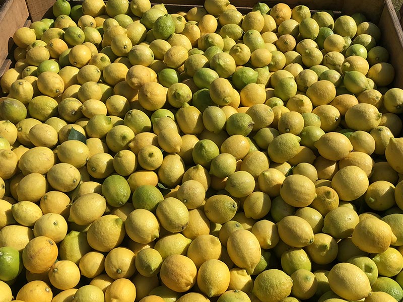 Cajon de limones
