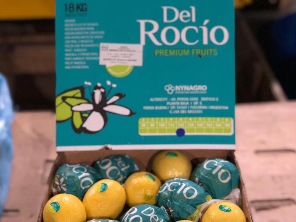 Presentacion cajon de limones Del Rocio