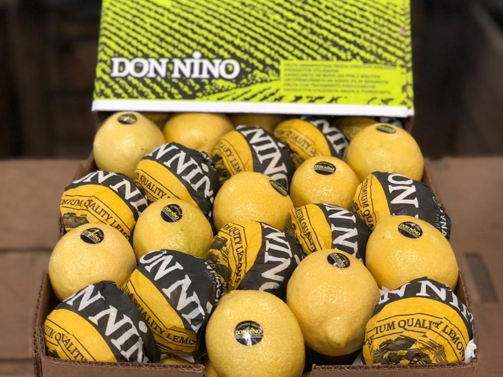 Presentacion cajon de limones Don Nino